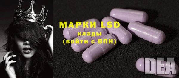 гидра Верея