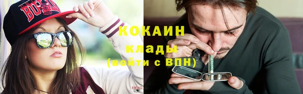 гидра Верея