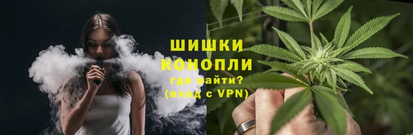 гидра Верея