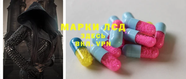 гидра Верея