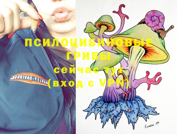 мдпв Верхнеуральск