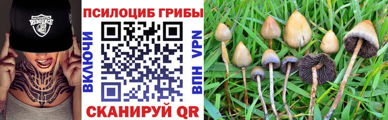 даркнет сайт  Курск  blacksprut как зайти  Галлюциногенные грибы мицелий 
